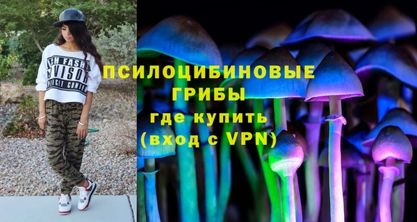 не бодяженный Волоколамск