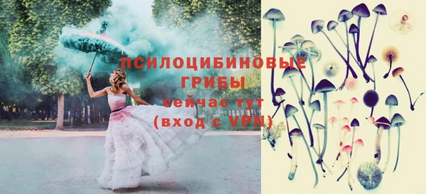 соль ск Володарск